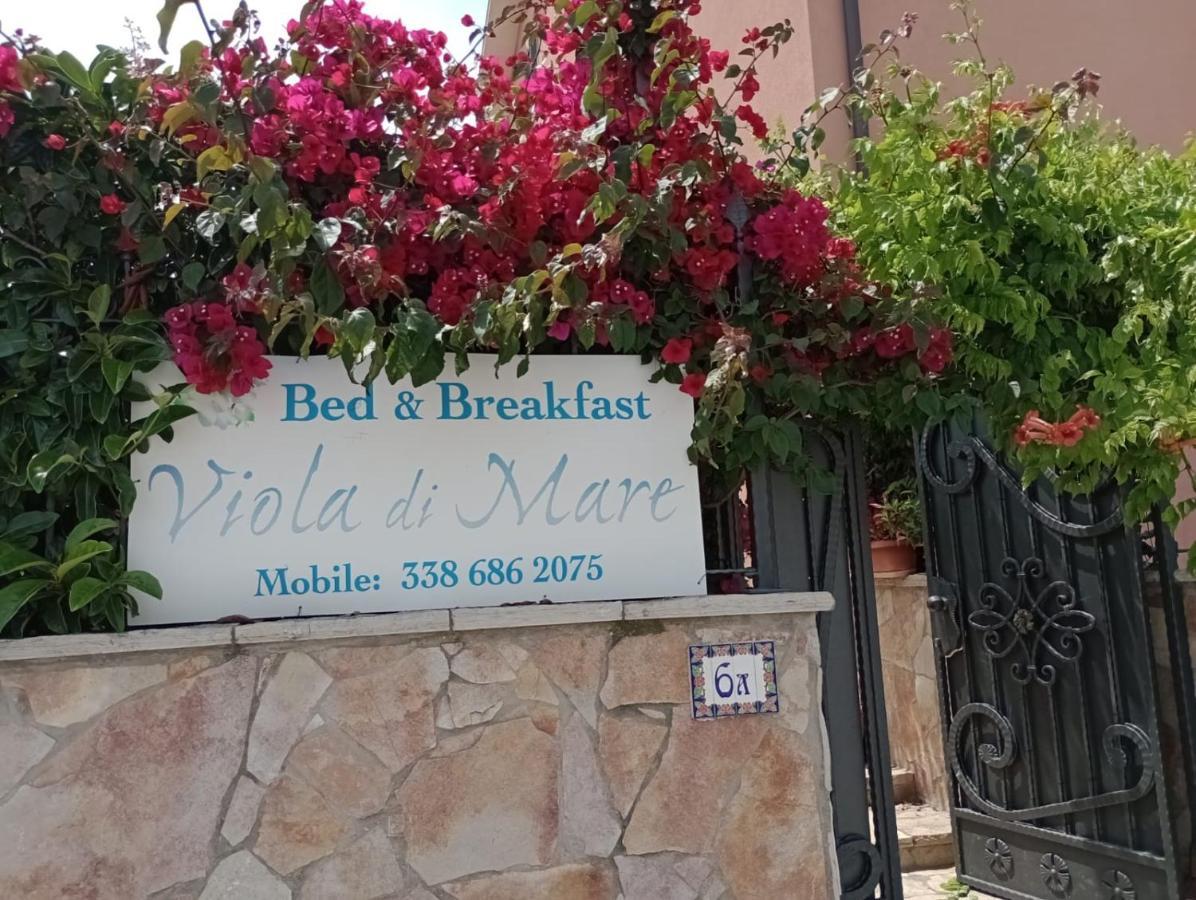 Viola Di Mare Rooms And Parking Térmoli Exterior foto